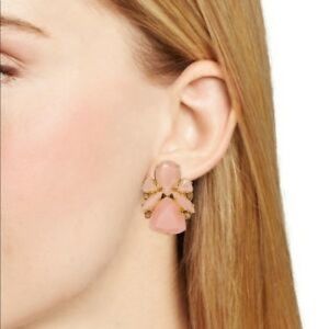 Kate Spade Pink Color Pop Statement Stud Earrings